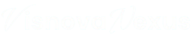 Visnova Nexus Logo